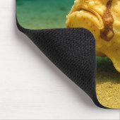 Tapis De Souris Frogfish & Furious (Coin)