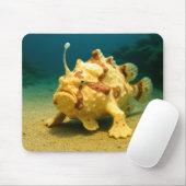 Tapis De Souris Frogfish & Furious (Avec souris)
