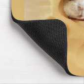 Tapis De Souris Fromage obtenu ? (Coin)