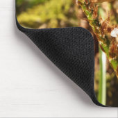 Tapis De Souris Fronde Mousepad de fougère (Coin)