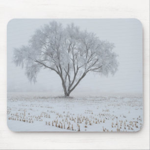 Tapis De Souris Frost sur un arbre solitaire