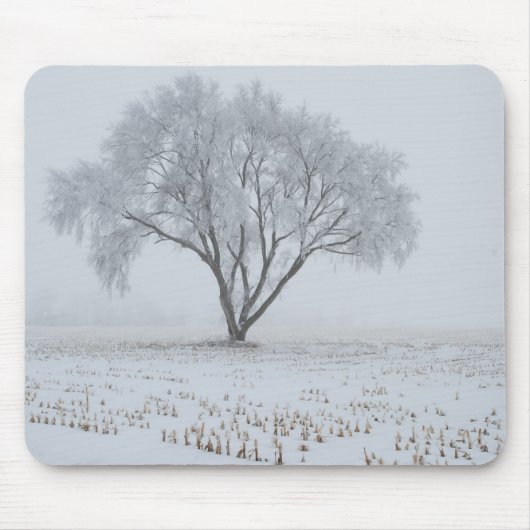 Tapis De Souris Frost sur un arbre solitaire (Devant)