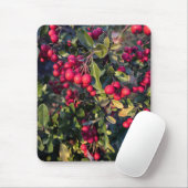 Tapis De Souris Fruit d'automne (Avec souris)