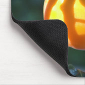 Tapis De Souris fruit de kaki (Coin)