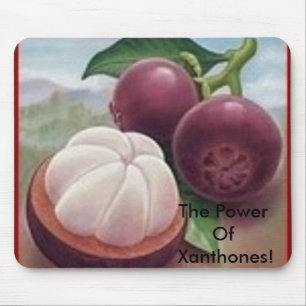 Tapis De Souris Fruit de mangoustan, la puissance de Xanthones !