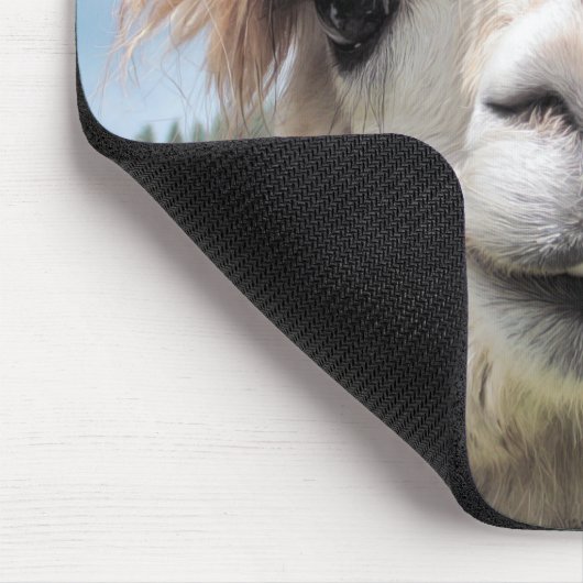 Tapis De Souris Funny Alpaca Llama Don't Touch I Spit (Coin)