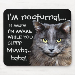 Tapis De Souris Funny Cat is Nocturnal Evil Laugh 