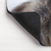 Tapis De Souris Funny Cat is Not Fat! Thick Furred (Coin)