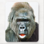 TAPIS DE SOURIS FUNNY CUTE GORILLA<br><div class="desc">A beautiful expression on this gorilla's face.</div>