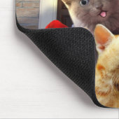 Tapis De Souris Funny kittens (Coin)