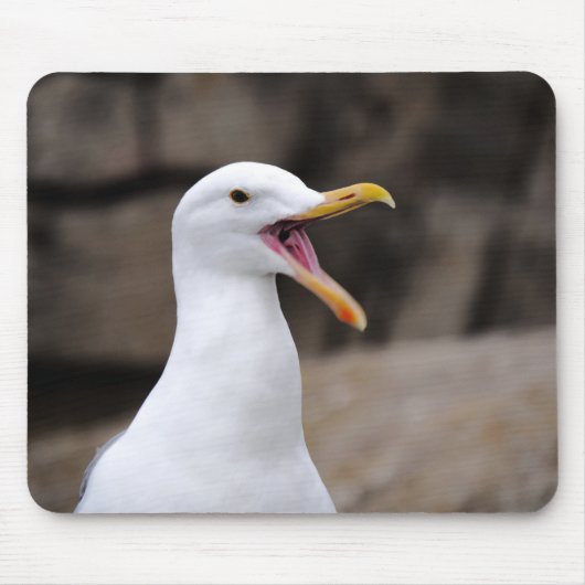 Tapis De Souris FUNNY Seagull (Devant)