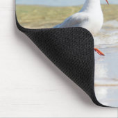 Tapis De Souris Funny seagull (Coin)