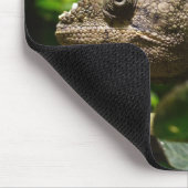 Tapis De Souris Furcifer oustaleti (Coin)