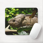 Tapis De Souris Furcifer oustaleti (Avec souris)