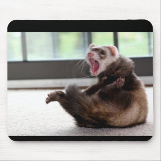 Tapis De Souris furet