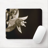 Tapis De Souris Fuschia noir/blanc Mousepad (Avec souris)