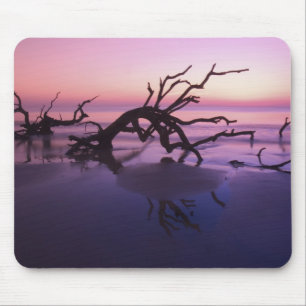 Tapis De Souris GA Jekyll Island, Cimetière d'arbres sur la plage