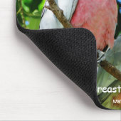 Tapis De Souris Galahs (cacatoès rose de Breasted) (Coin)