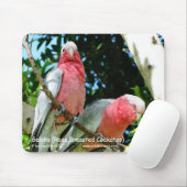 Tapis De Souris Galahs (cacatoès rose de Breasted) (Avec souris)