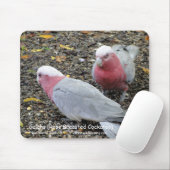 Tapis De Souris Galahs (cacatoès rose de Breasted) (Avec souris)