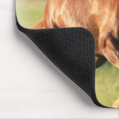 Tapis de souris galopant de cheval de châtaigne (Coin)