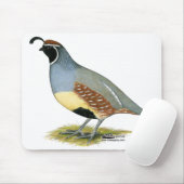 Tapis De Souris Gambel's Desert Quail (Avec souris)