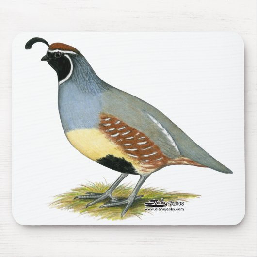 Tapis De Souris Gambel's Desert Quail (Devant)