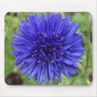 Tapis De Souris Garçon bleu de bleuet