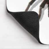 Tapis De Souris Gardien Tarantula (Coin)