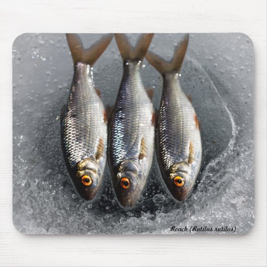 Tapis De Souris Gardon (Devant)