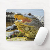 Tapis De Souris Gator. Face à face (Avec souris)