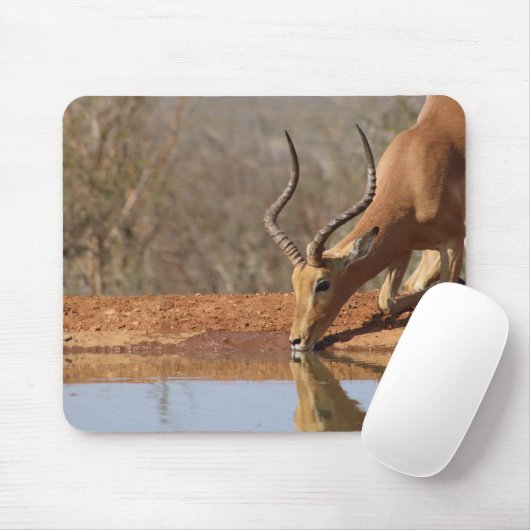 Tapis De Souris Gazelle (Avec souris)