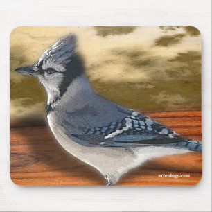 TAPIS DE SOURIS GEAI BLEU