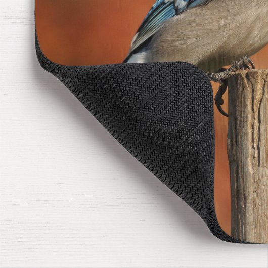 Tapis De Souris Geai bleu (Coin)