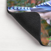 Tapis De Souris Geai bleu magnifique (Coin)