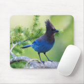 Tapis De Souris Geai de Steller (Avec souris)