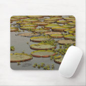 Tapis De Souris Géant ou Victoria Lilies Victoria amazonica, (Avec souris)
