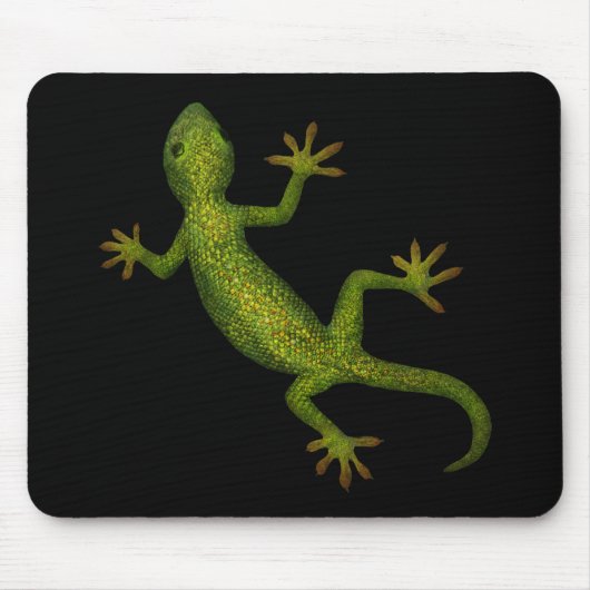Tapis De Souris Gecko (Devant)