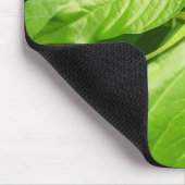 Tapis De Souris Gecko (Coin)