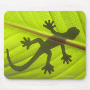 Tapis De Souris Gecko