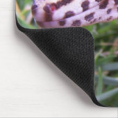 Tapis De Souris Gecko de léopard (Coin)