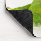 Tapis De Souris Gecko de Madagascar (Phelsuma madagascariensis) (Coin)