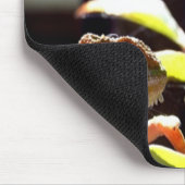 Tapis De Souris Gecko lézards et Chameleons (Coin)