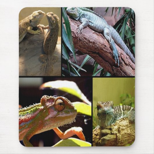 Tapis De Souris Gecko lézards et Chameleons (Devant)