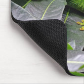 Tapis De Souris Gecko malgache (Coin)