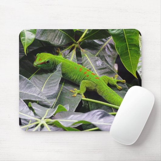 Tapis De Souris Gecko malgache (Avec souris)
