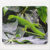 Tapis De Souris Gecko malgache (Devant)