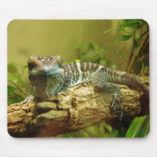 Tapis De Souris Gecko Mousepad (Devant)