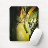 Tapis De Souris Gecko tropical mousepad (Avec souris)