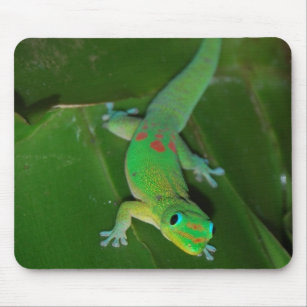 Tapis De Souris Gecko vert en Hawaï